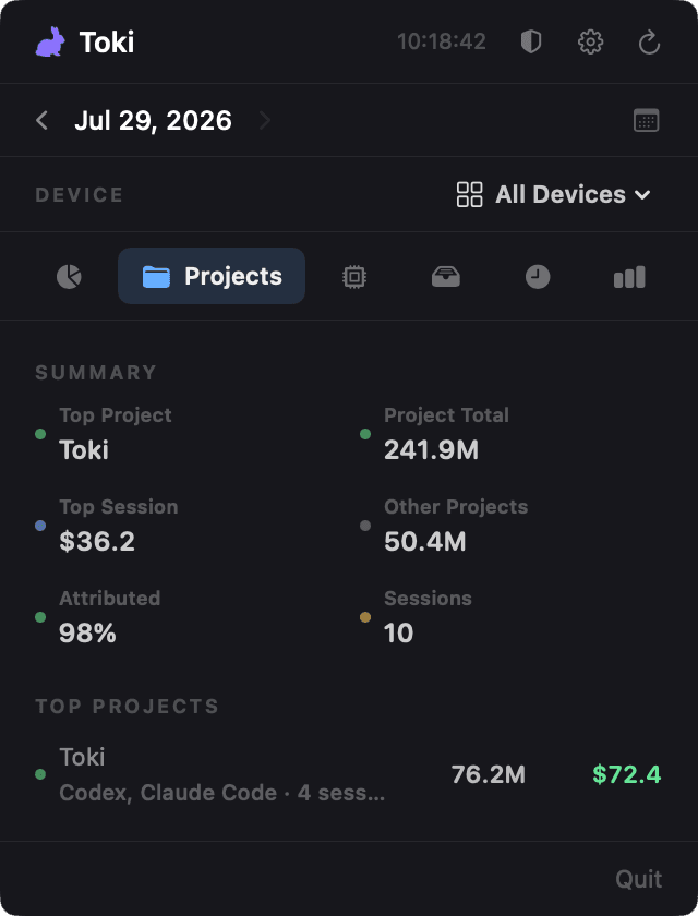 Toki Projects view
